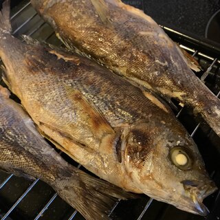 イサキのレシピ 作り方 簡単人気ランキング 楽天レシピ イサキのレシピ 作り方 簡単人気ランキング 楽天レシピ